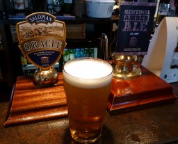 Big Shed's 'Sentinel' (3.8%) rather thinly-flavoured, amber-coloured, which, judging from the cloudy appearance, looked like it was an unfined ale.
2014-07-06