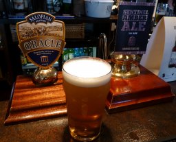 Big Shed's 'Sentinel' (3.8%) rather thinly-flavoured, amber-coloured, which, judging from the cloudy appearance, looked like it was an unfined ale.
2014-07-06