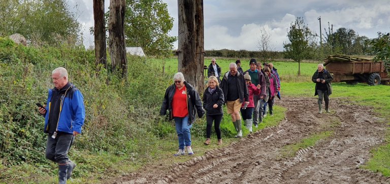 Marching towards the trees....