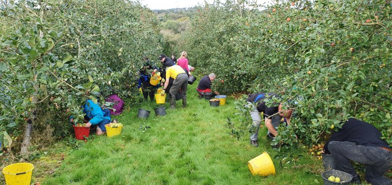 Under them trees is where the apples be......and oh mu god is there apples!!!!