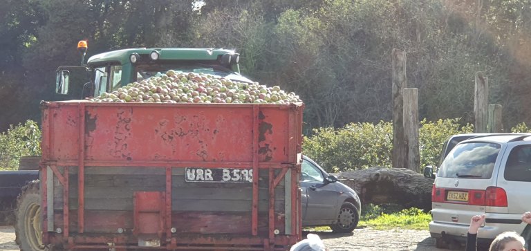 That's a cart load of apples....one of several for the day!!!