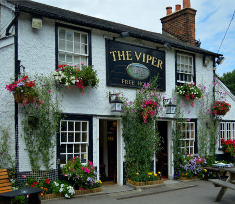 The Viper, Mill Green, in 2015