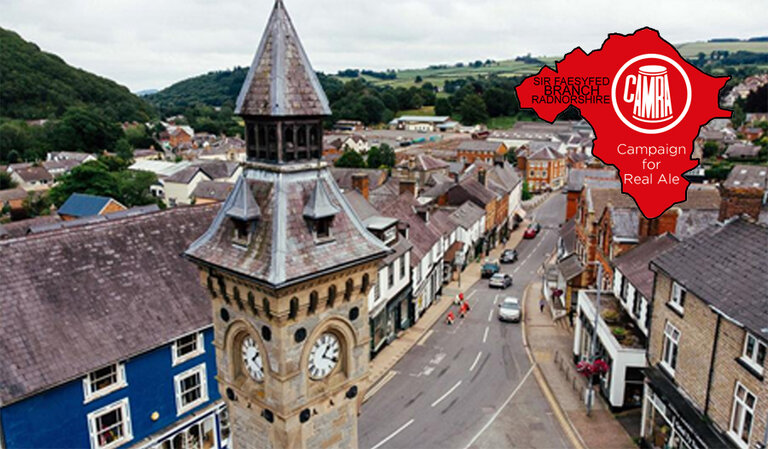 Knighton aerial view with local logo