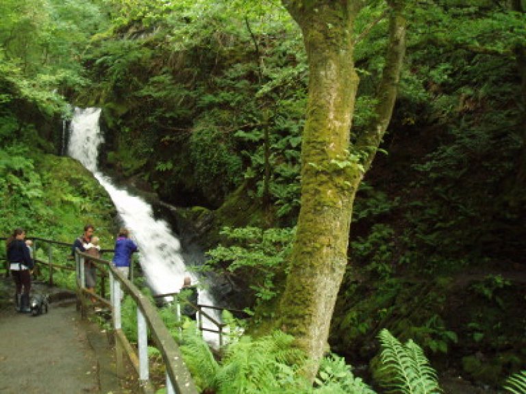 Dolgoch Lower Falls